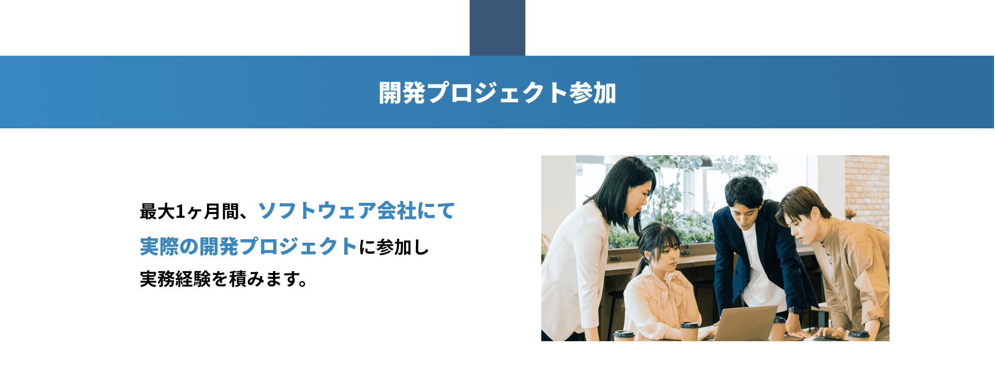 開発プロジェクト参加
